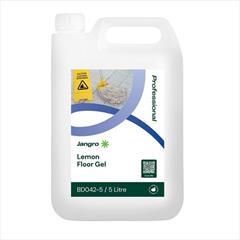 Floor / Upholstery Care