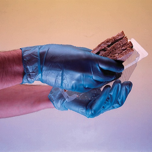 Vinyl Gloves Powder Free Blue 100's S